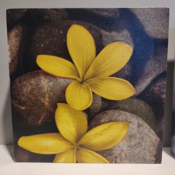 Set of 3 Floral Canvases, Yellow, Small - Picture 5 of 8